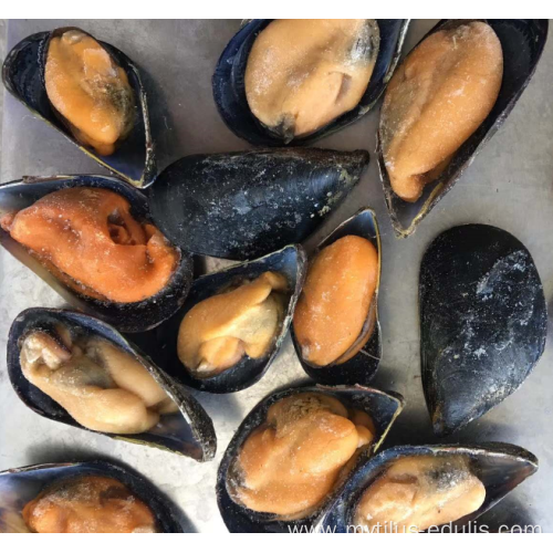 natural flavor hot sale frozen half shell mussels